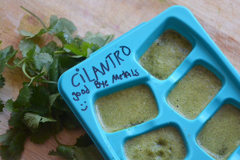 ilantro_ice_cubes_heavy_metal_detox