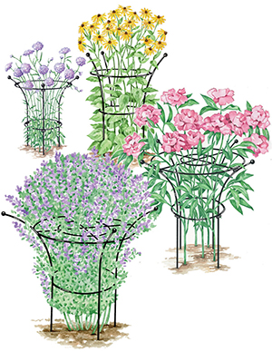 Garden Supply Peony Stand