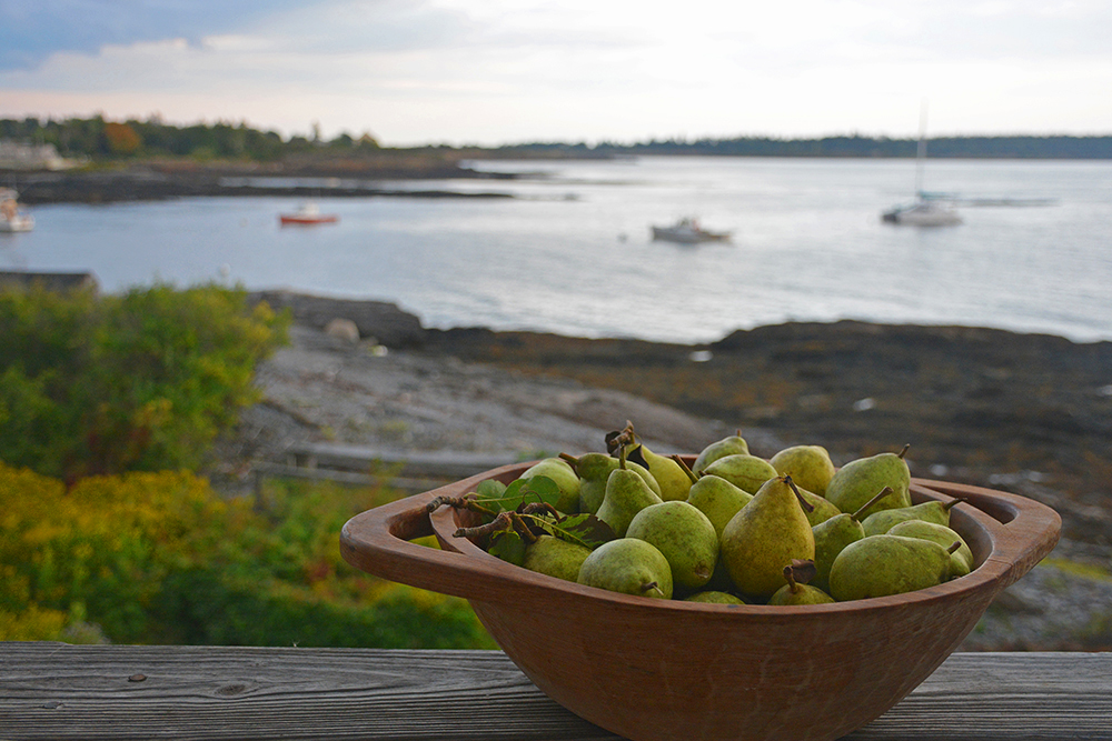 heartwind nest clapp's favorite pears